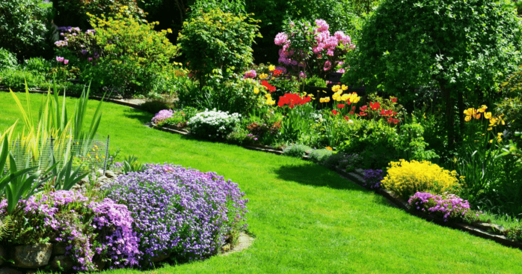 Paramount Landscaping - A Comprehensive Spring Checklist for Your Backyard