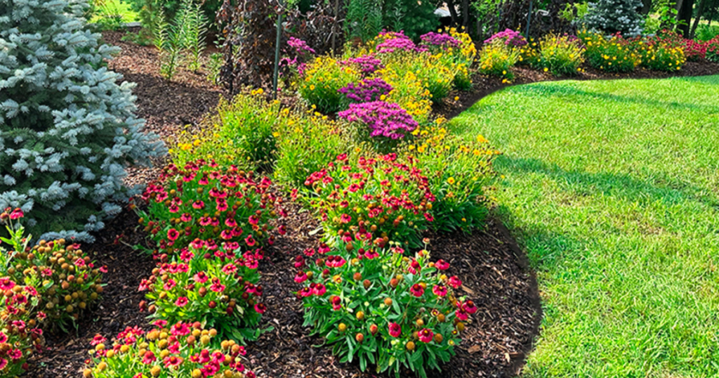 Paramount Landscaping - Planning Your Dream Garden