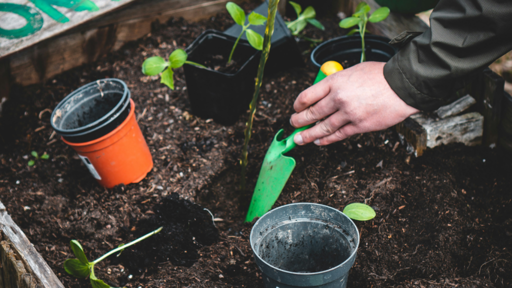 Paramount Landscaping - Landscaping Company in Ontario - diy vegetable garden