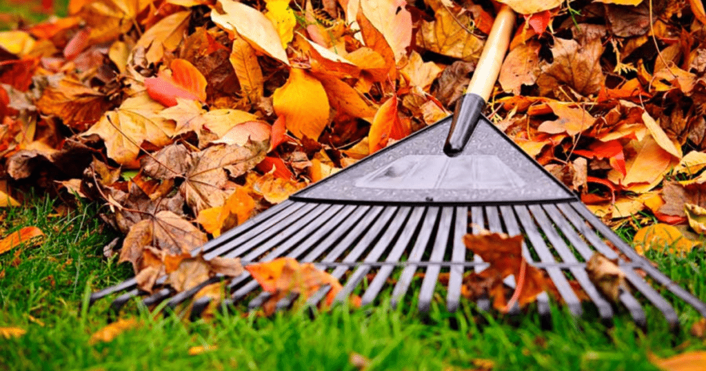 Paramount Landscaping - Readying Your Lawn & Garden For Winter