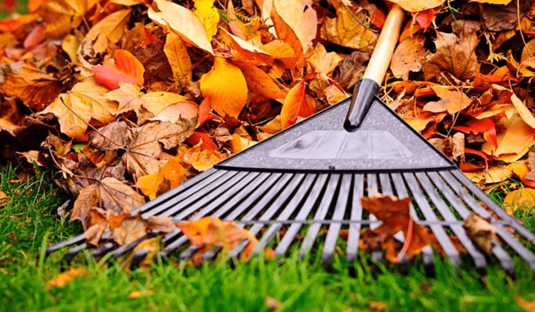 Readying Your Lawn & Garden For Winter