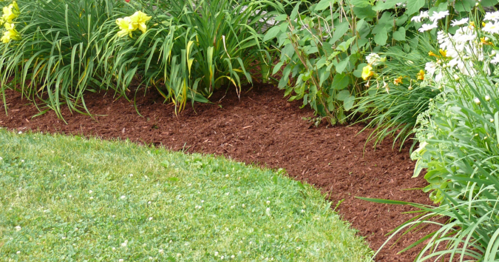 Paramount Landscaping - Types of Organic Mulch