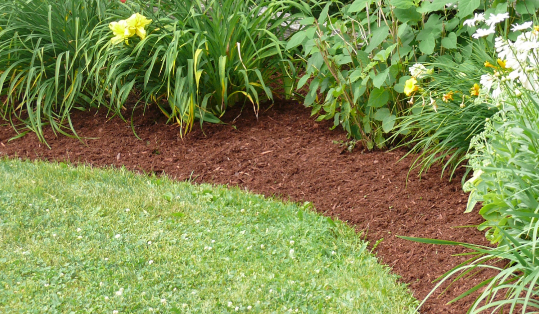 Types of Organic Mulch