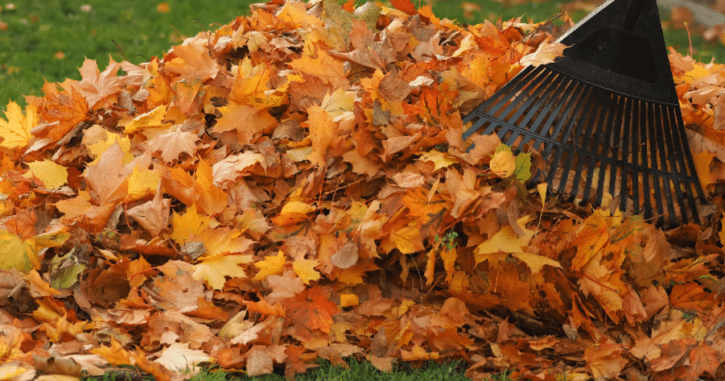 Paramount Landscaping - What Happens To Your Fall Yard Waste