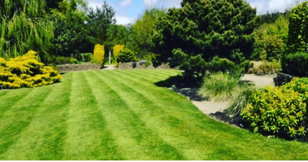 Paramount Landscaping - All About Property Maintenance