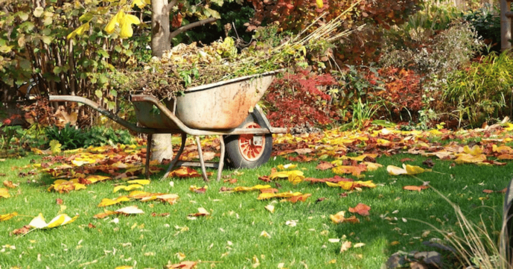 Paramount Landscaping - Embracing the Autumn Palette_ The Importance of Landscaping in the Fall