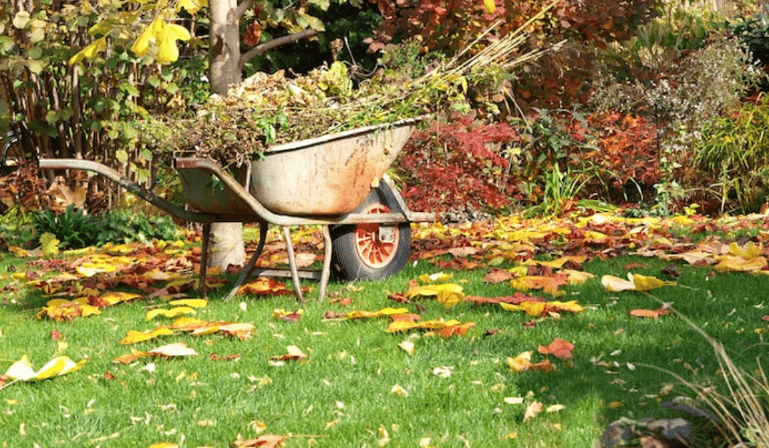 Embracing the Autumn Palette: The Importance of Landscaping in the Fall