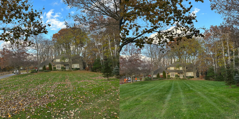 56WoodendBefore&After