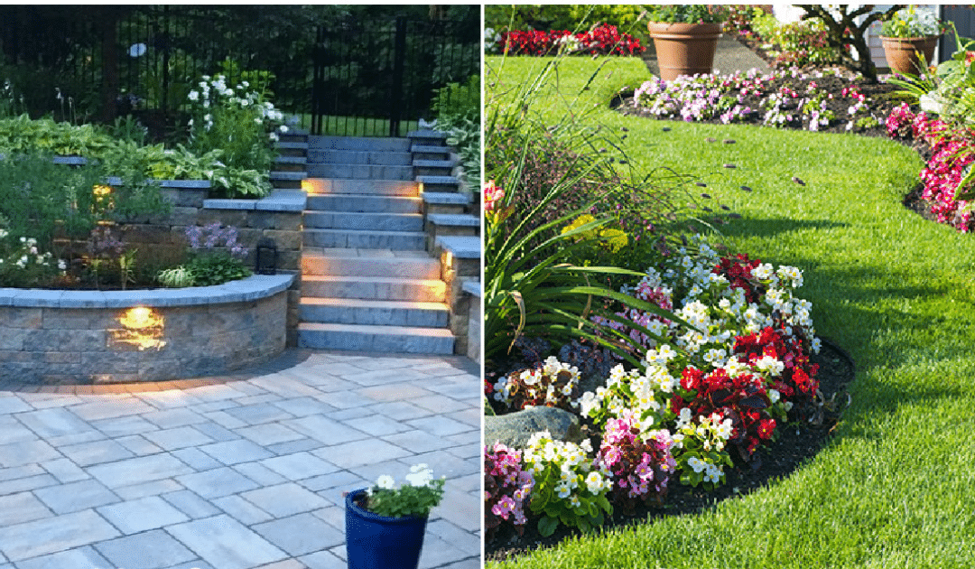 Unveiling the Distinction: Softscaping vs. Hardscaping