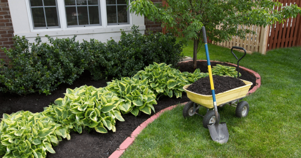 Paramount Landscaping - The Power of Mulching_ Enhancing Your Garden’s Health and Beauty