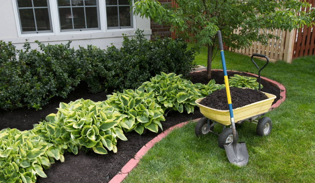 The Power of Mulching: Enhancing Your Garden’s Health and Beauty