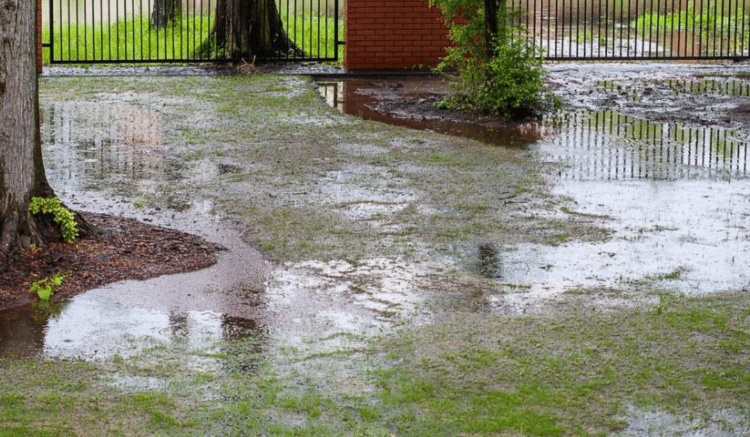 Tips and Tricks to Enhance Drainage in Your Lawn