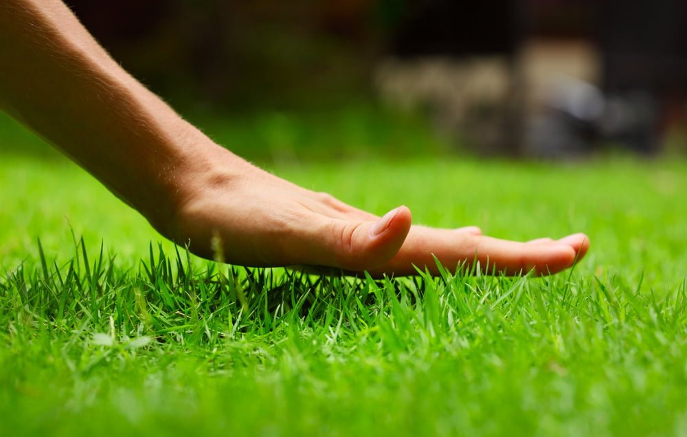 The Importance of Proper Lawn Care: A Beautiful Oasis at Your Doorstep