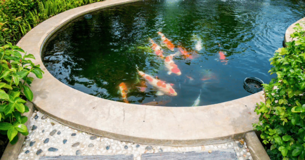 Paramount Landscaping - Discover the Benefits of Adding a Pond