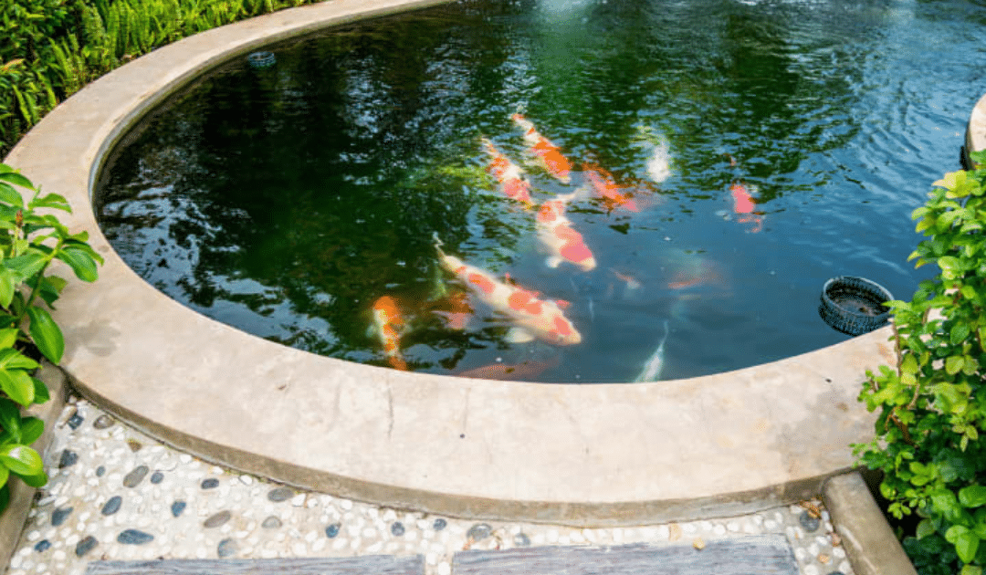 Discover the Benefits of Adding a Pond