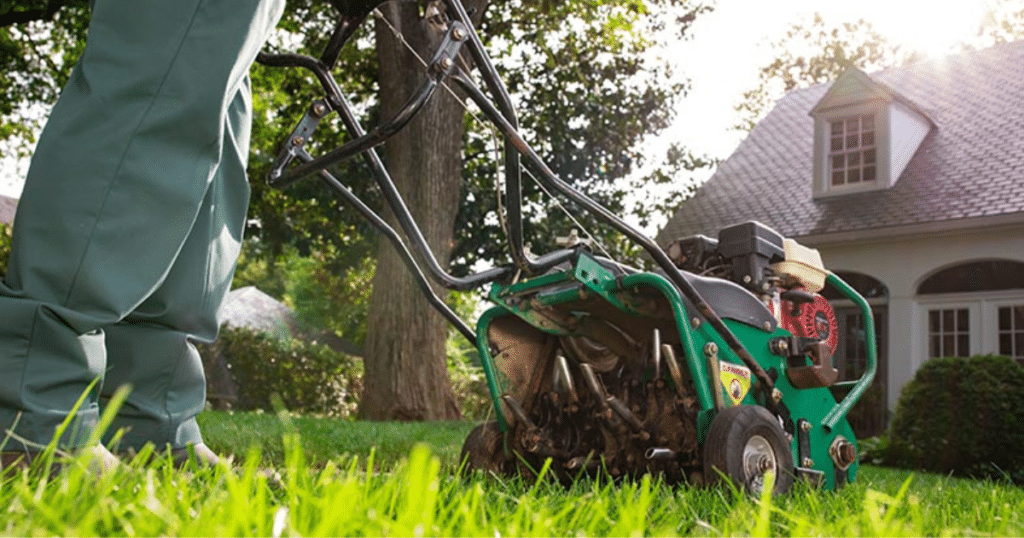 Paramount Landscaping - The Art of Lawn Maintenance_ How Often Should You Mow and Aerate Your Lawn