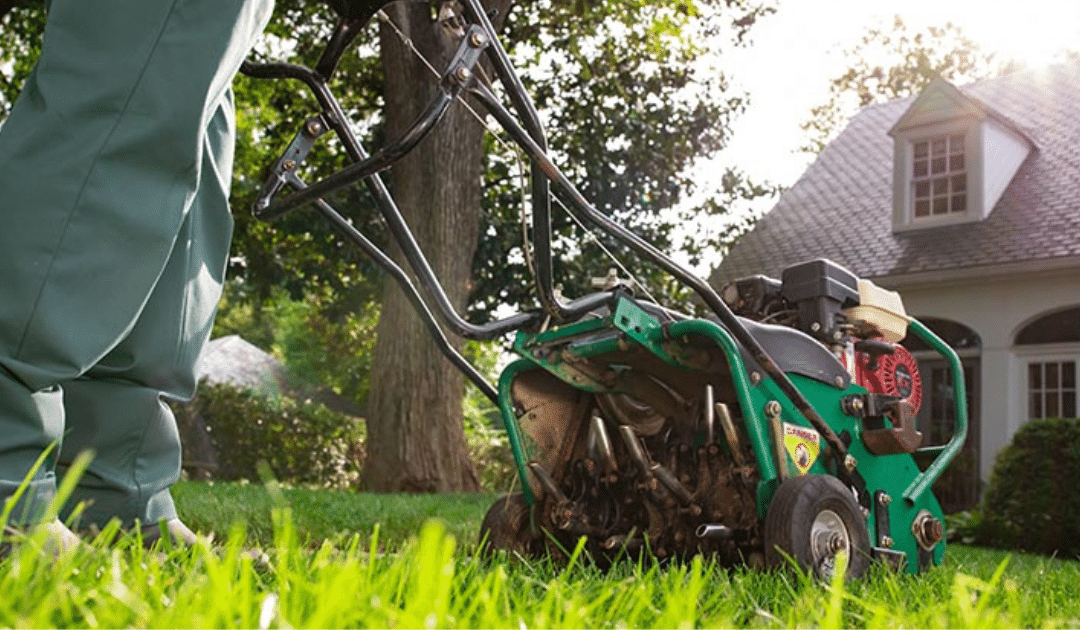 The Art of Lawn Maintenance: How Often Should You Mow and Aerate Your Lawn?