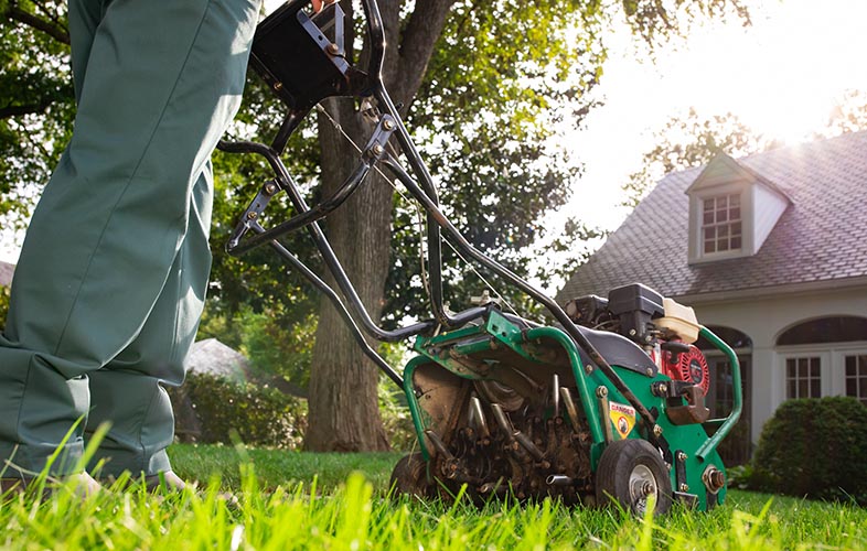 The Art of Lawn Maintenance: How Often Should You Mow and Aerate Your Lawn?
