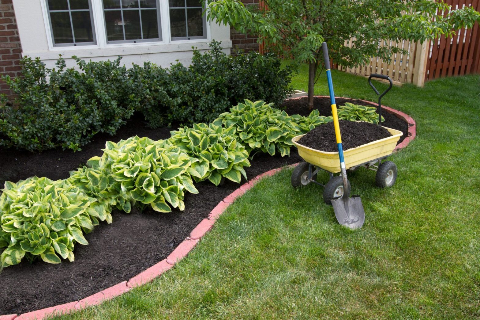 The Power of Mulching: Enhancing Your Garden’s Health and Beauty
