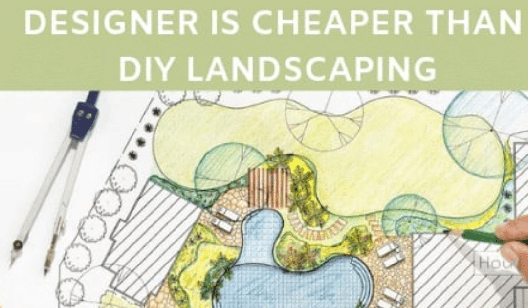 DIY vs. Professionals: When Hiring Landscapers Actually Saves You Money