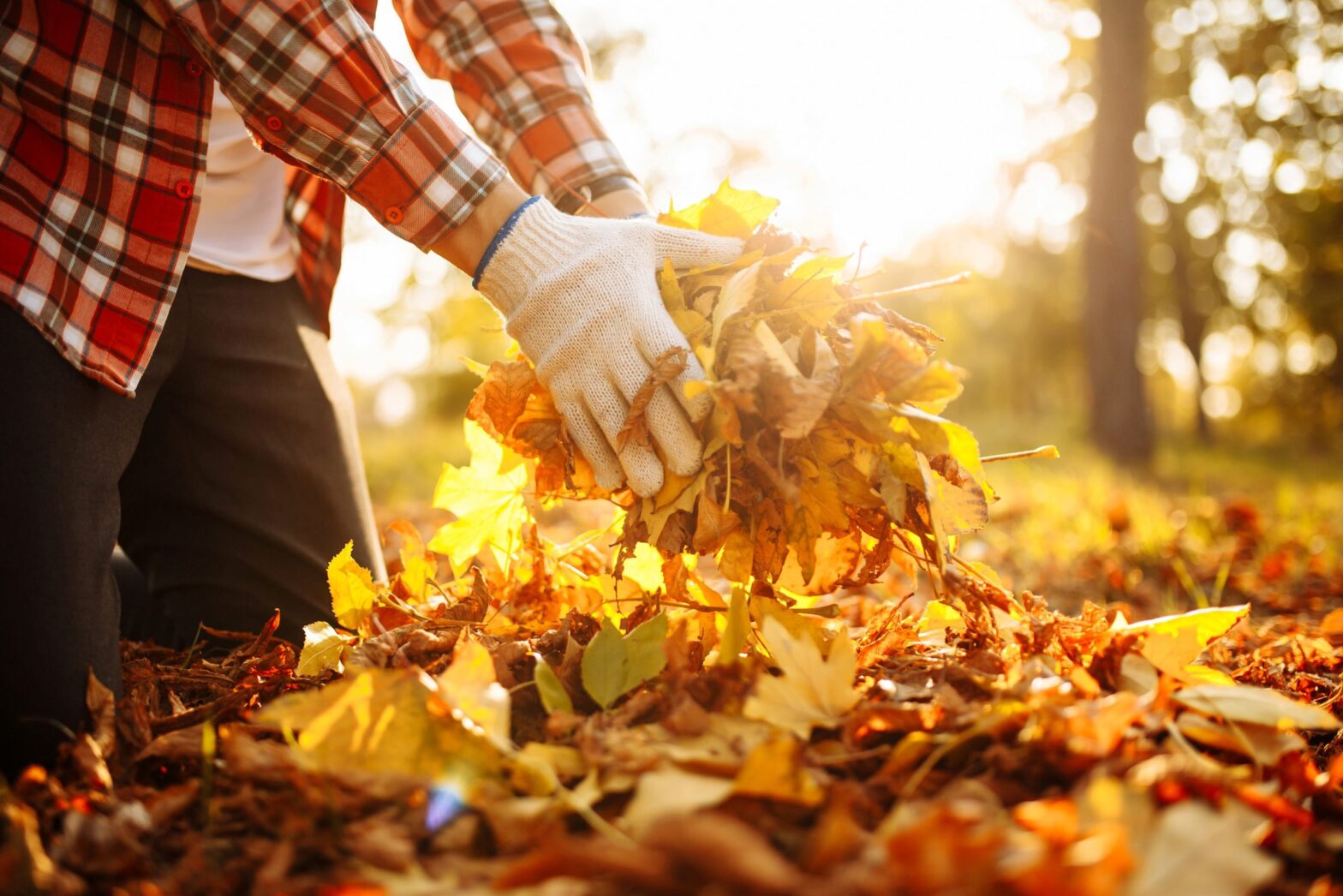 The Importance of Fall Clean-ups