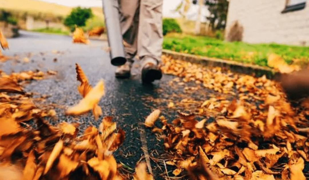 Cleaning Your Yard in the Fall