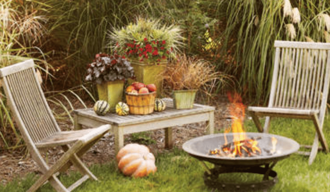 Fall Essentials for Your Garden