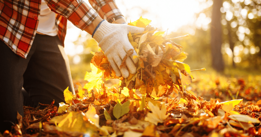 Paramount Landscaping - The Importance of Fall Clean-ups