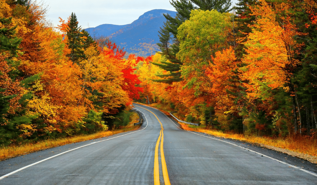 Why Do Leaves Change Colours in the Fall?