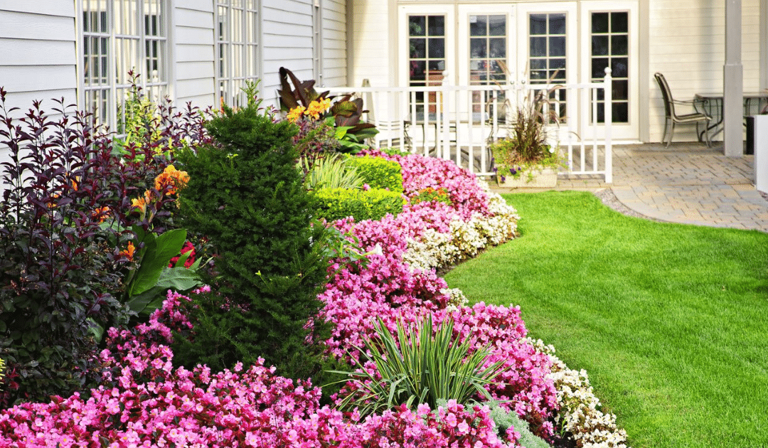 How Mulching Can Save You Money