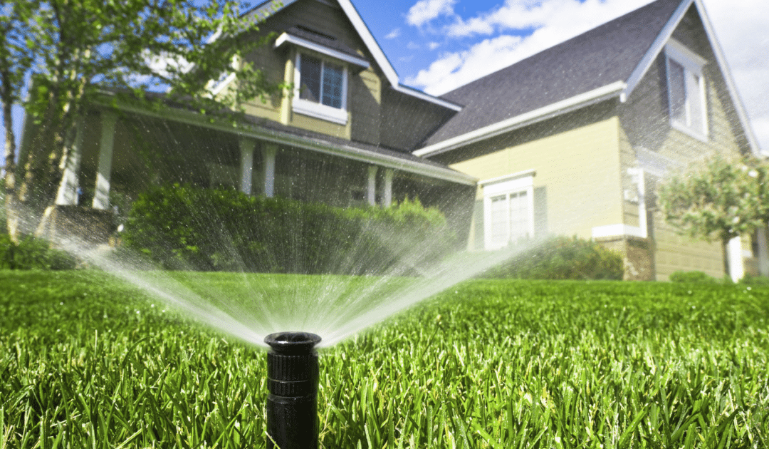 Lawn Maintenance: How to Water Your Lawn Properly