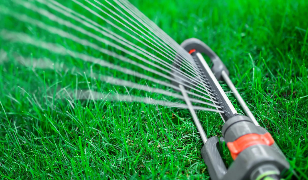 When Should You Start Watering Your Lawn?