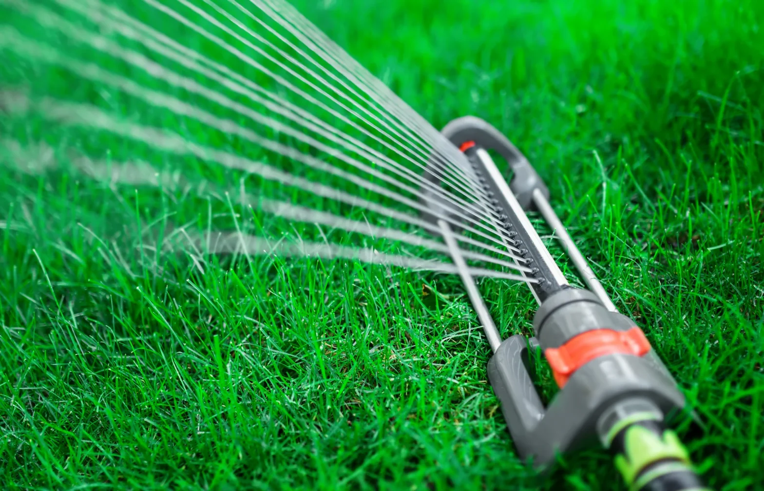 When Should You Start Watering Your Lawn?