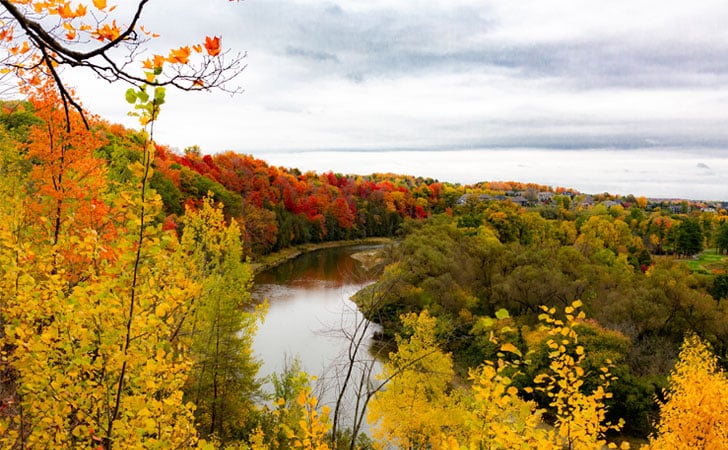 Paramount Landscaping - Landscapers near Kitchener