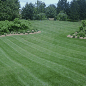 Paramount Landscaping- Products- Core Aeration