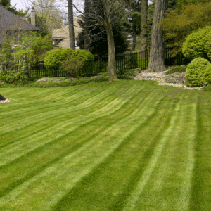 Paramount Landscaping- Products- Property Maintenance