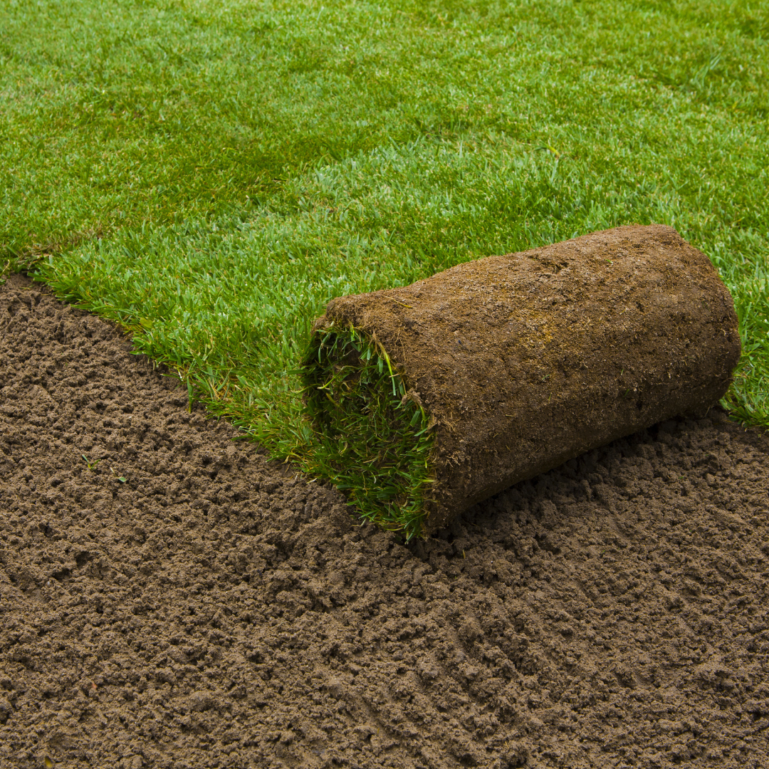 Paramount Landscaping - Sod Removal and Installation - Landscapers in Ontario