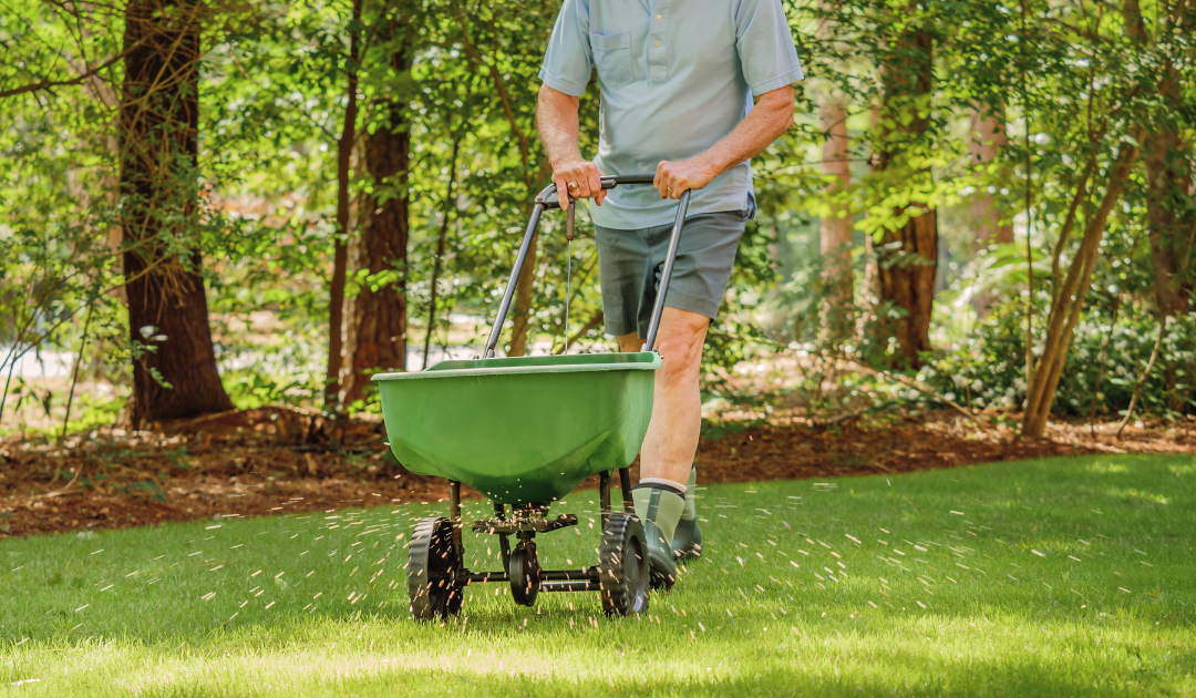 Fertilizing