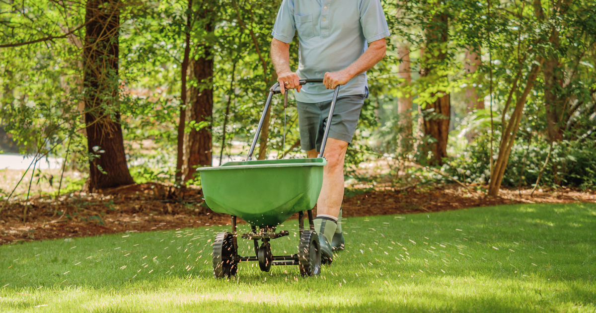 Fertilizing - Paramount Landscaping - 6