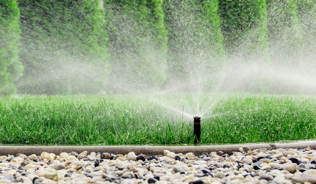 Irrigation