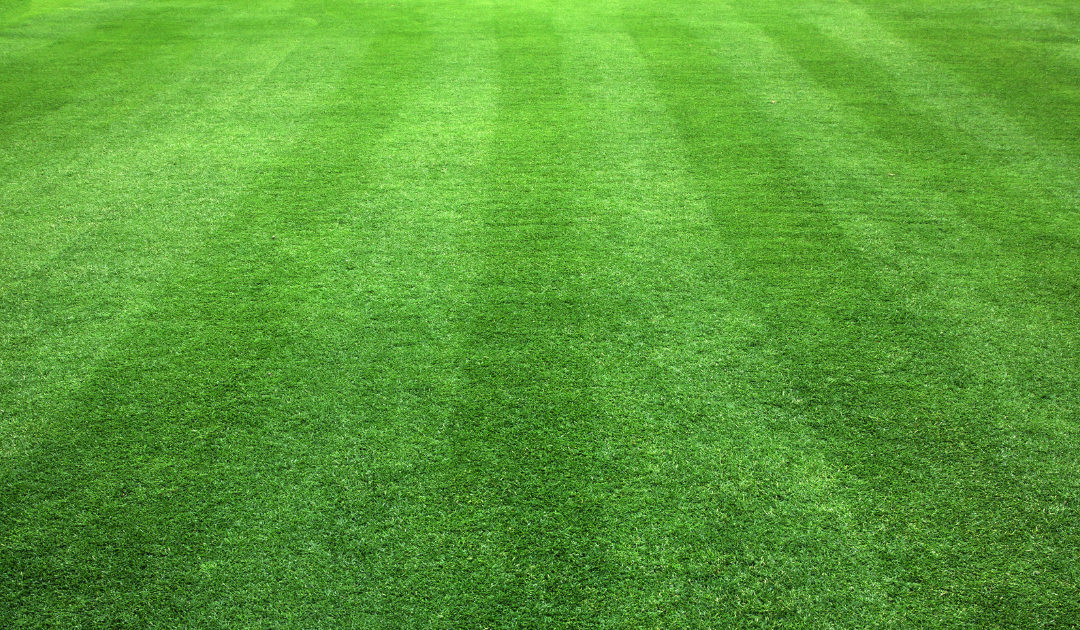 Lawn and Garden Maintenance