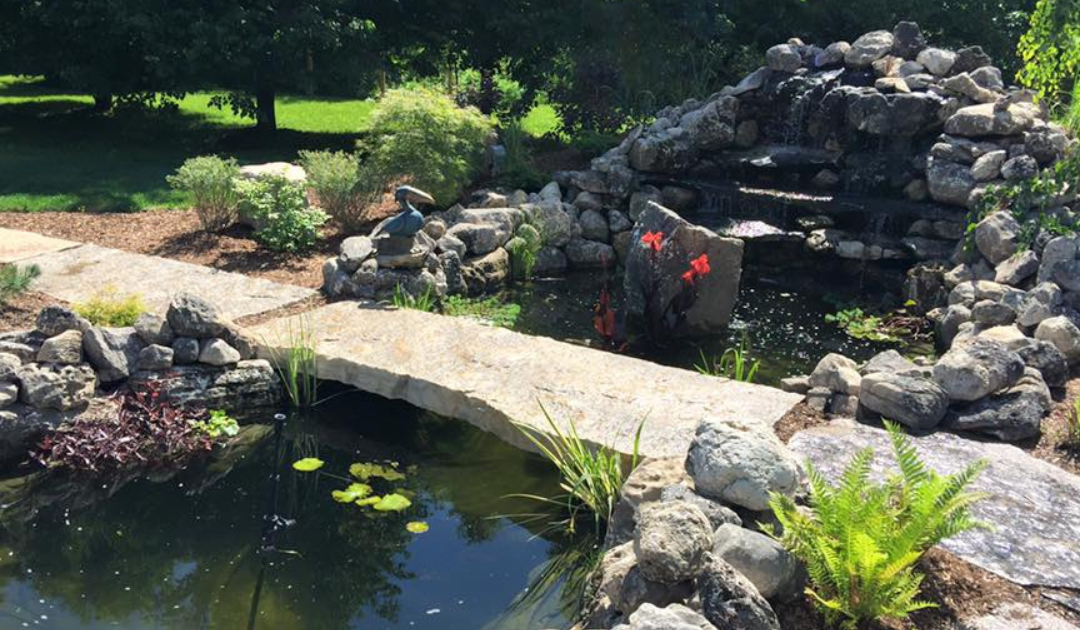 Ponds and Water Features