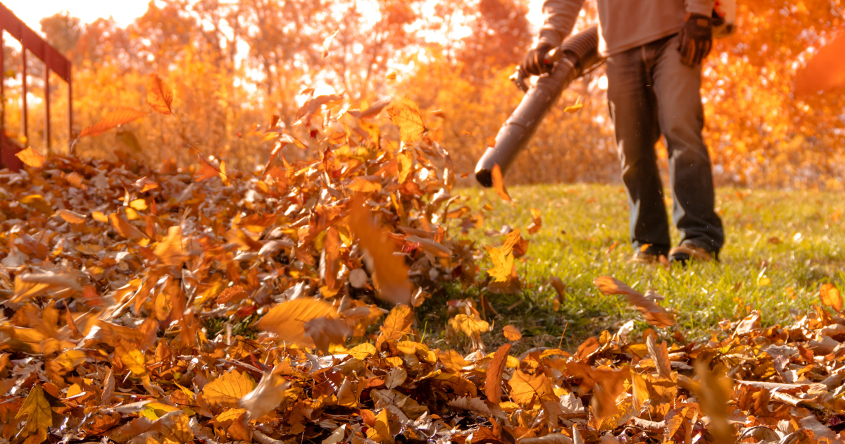 Spring Fall Clean ups - Paramount Landscaping - 1