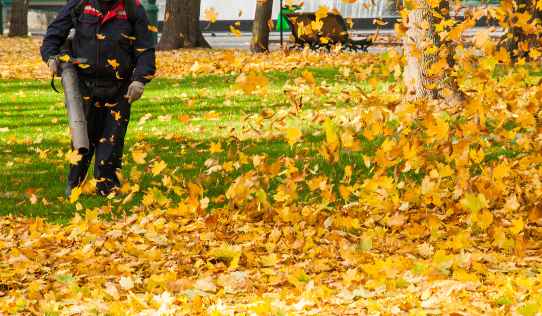 Spring and Fall Cleanups