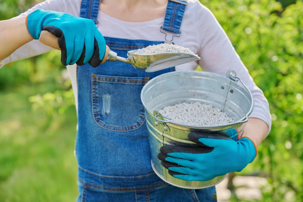 What Does Lawn Fertilizer Do? A Comprehensive Guide