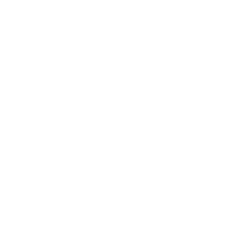 Project Plan - Paramount Landscaping