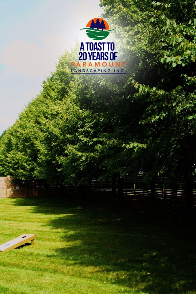 Lawn space with tree line and cornhole game setup in the background during Paramount Landscaping's 20th Anniversary.