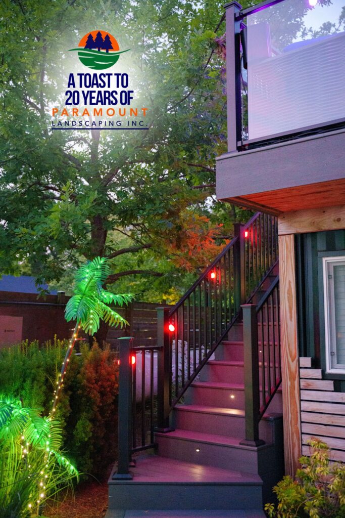 Outdoor landscape lighting showcasing the illuminated stairs leading up to the Crows Nest at Paramount’s Discovery Lounge.