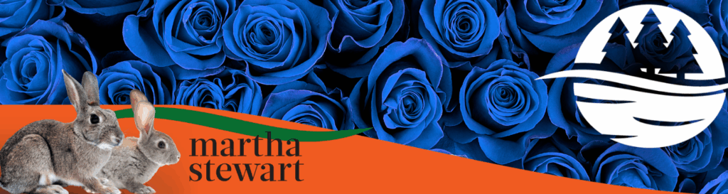 Paramount Landscaping feature in Martha Stewart article about protecting rose gardens from rabbits, with blue roses, rabbits, and brand logos.