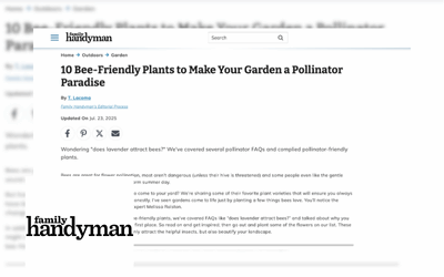 Family Handyman – Bee Friendly